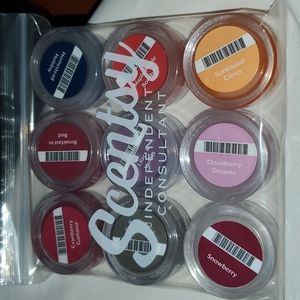 Scentsy Tester 9 pack